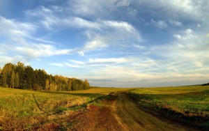 road_field_sky_clouds_blue_country_open_spaces_trees_horizon_landscape_61181_2560x1600